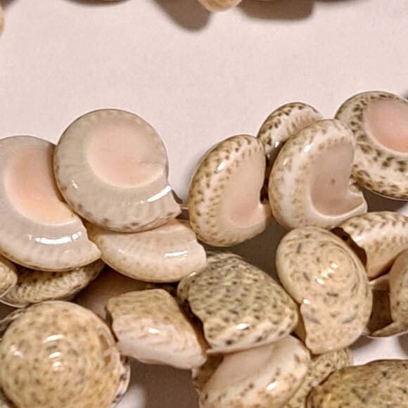 Hilo Hattie shell design long necklace NWT new with tag - Picture 7 of 7